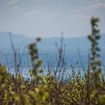 Фермерский дом Masseria Torre Di Albidona Требизачче