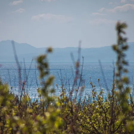 Фермерский дом Masseria Torre Di Albidona Требизачче