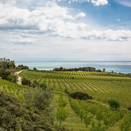 Фермерский дом Masseria Torre Di Albidona